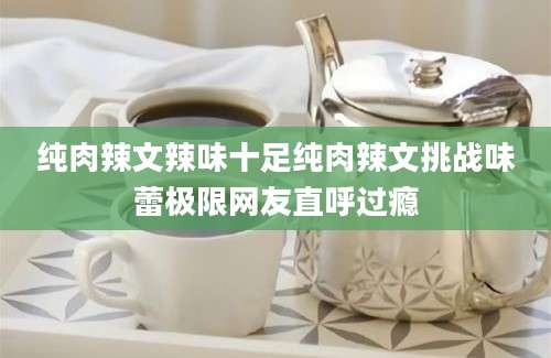 纯肉辣文辣味十足纯肉辣文挑战味蕾极限网友直呼过瘾