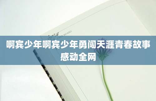 啊宾少年啊宾少年勇闯天涯青春故事感动全网