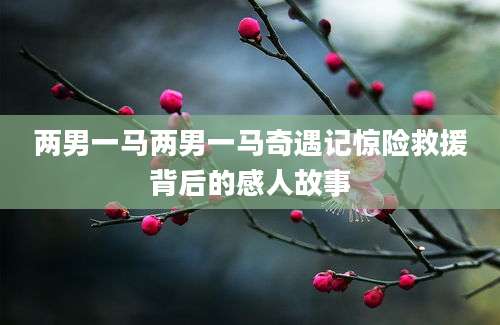 两男一马两男一马奇遇记惊险救援背后的感人故事