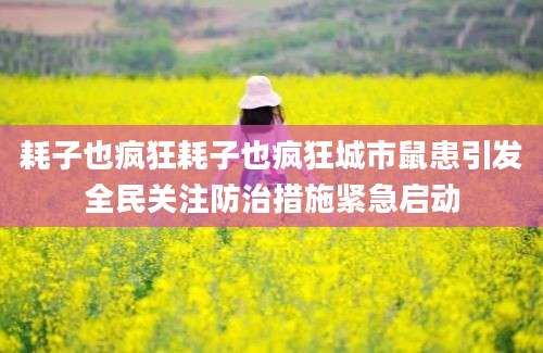 耗子也疯狂耗子也疯狂城市鼠患引发全民关注防治措施紧急启动