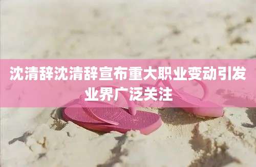 沈清辞沈清辞宣布重大职业变动引发业界广泛关注