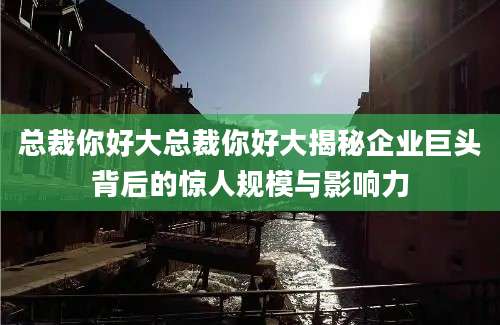 总裁你好大总裁你好大揭秘企业巨头背后的惊人规模与影响力