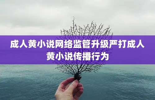 成人黄小说网络监管升级严打成人黄小说传播行为