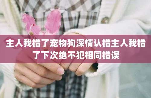 主人我错了宠物狗深情认错主人我错了下次绝不犯相同错误