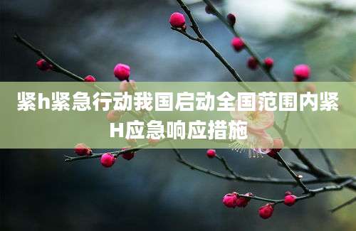 紧h紧急行动我国启动全国范围内紧H应急响应措施