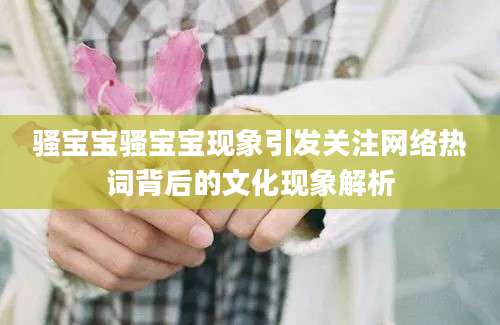 骚宝宝骚宝宝现象引发关注网络热词背后的文化现象解析