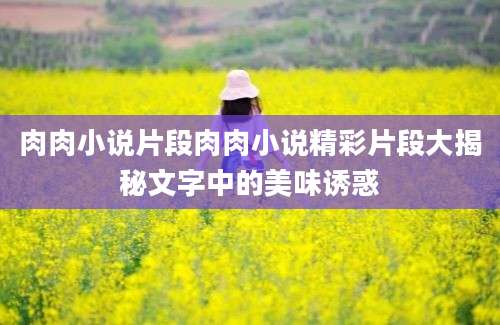 肉肉小说片段肉肉小说精彩片段大揭秘文字中的美味诱惑