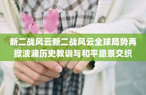 新二战风云新二战风云全球局势再掀波澜历史教训与和平愿景交织