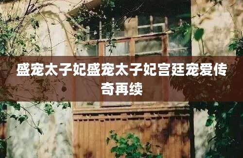 盛宠太子妃盛宠太子妃宫廷宠爱传奇再续