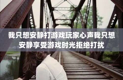 我只想安静打游戏玩家心声我只想安静享受游戏时光拒绝打扰