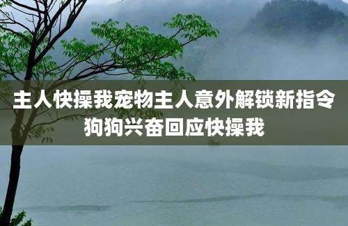 主人快操我宠物主人意外解锁新指令狗狗兴奋回应快操我