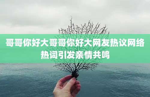 哥哥你好大哥哥你好大网友热议网络热词引发亲情共鸣