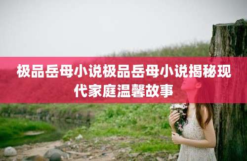 极品岳母小说极品岳母小说揭秘现代家庭温馨故事