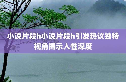 小说片段h小说片段h引发热议独特视角揭示人性深度