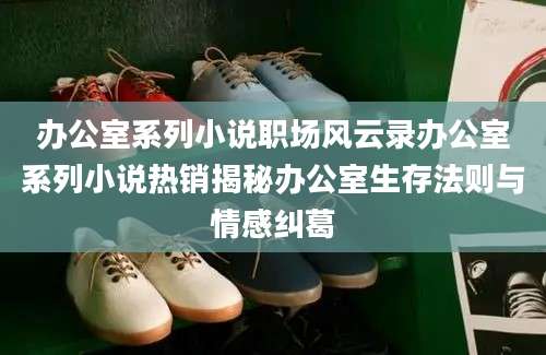 办公室系列小说职场风云录办公室系列小说热销揭秘办公室生存法则与情感纠葛