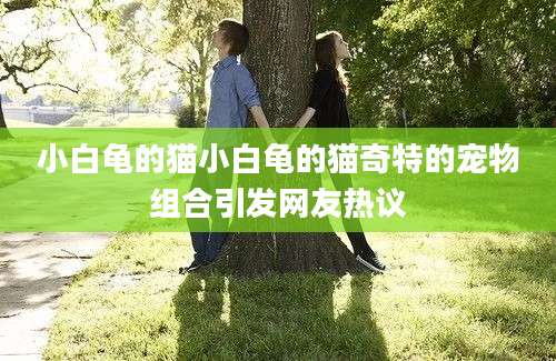小白龟的猫小白龟的猫奇特的宠物组合引发网友热议