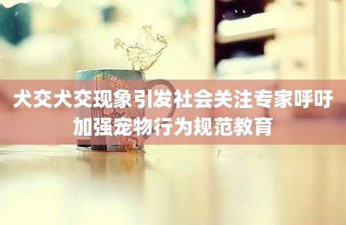 犬交犬交现象引发社会关注专家呼吁加强宠物行为规范教育