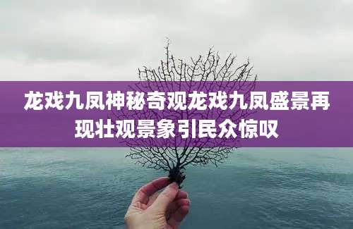 龙戏九凤神秘奇观龙戏九凤盛景再现壮观景象引民众惊叹