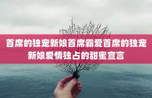 首席的独宠新娘首席霸爱首席的独宠新娘爱情独占的甜蜜宣言