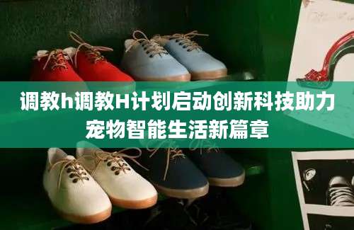 调教h调教H计划启动创新科技助力宠物智能生活新篇章