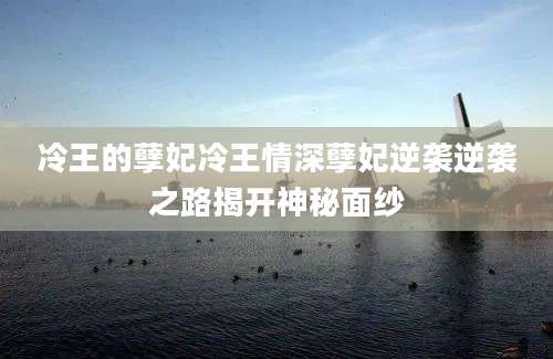 冷王的孽妃冷王情深孽妃逆袭逆袭之路揭开神秘面纱