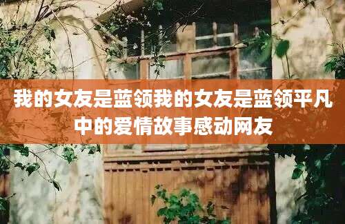 我的女友是蓝领我的女友是蓝领平凡中的爱情故事感动网友