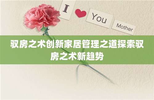 驭房之术创新家居管理之道探索驭房之术新趋势