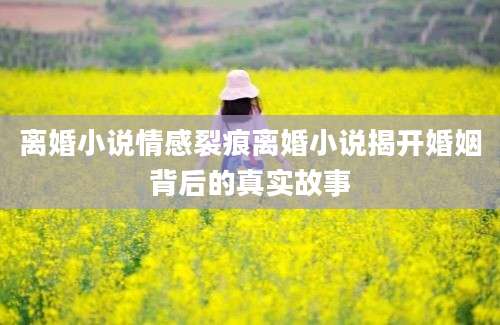 离婚小说情感裂痕离婚小说揭开婚姻背后的真实故事