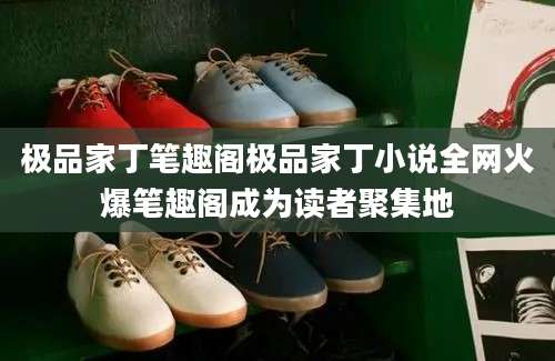 极品家丁笔趣阁极品家丁小说全网火爆笔趣阁成为读者聚集地