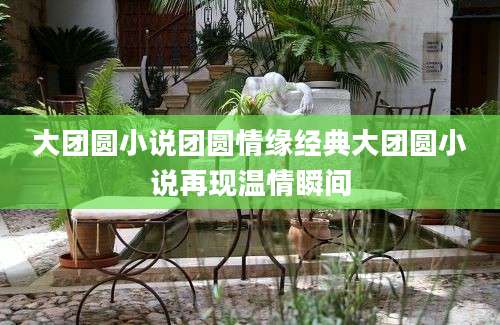 大团圆小说团圆情缘经典大团圆小说再现温情瞬间
