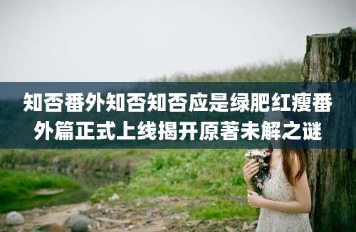 知否番外知否知否应是绿肥红瘦番外篇正式上线揭开原著未解之谜
