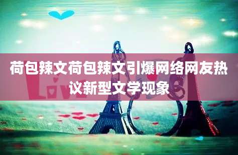 荷包辣文荷包辣文引爆网络网友热议新型文学现象