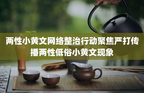 两性小黄文网络整治行动聚焦严打传播两性低俗小黄文现象