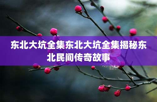东北大坑全集东北大坑全集揭秘东北民间传奇故事