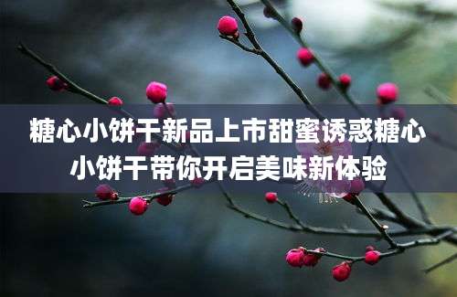 糖心小饼干新品上市甜蜜诱惑糖心小饼干带你开启美味新体验