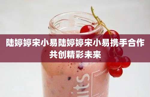 陆婷婷宋小易陆婷婷宋小易携手合作共创精彩未来