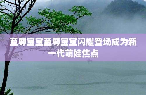 至尊宝宝至尊宝宝闪耀登场成为新一代萌娃焦点