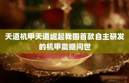 天道机甲天道崛起我国首款自主研发的机甲震撼问世