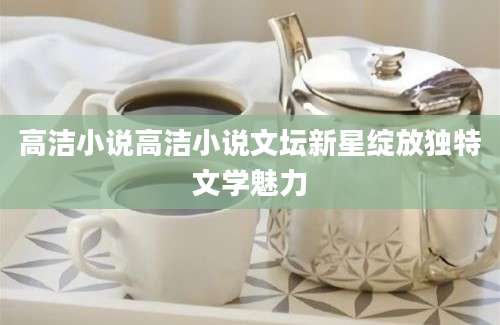 高洁小说高洁小说文坛新星绽放独特文学魅力
