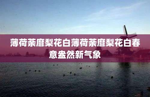 薄荷荼靡梨花白薄荷荼靡梨花白春意盎然新气象