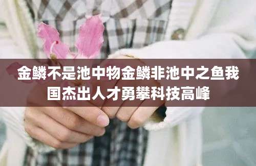 金鳞不是池中物金鳞非池中之鱼我国杰出人才勇攀科技高峰
