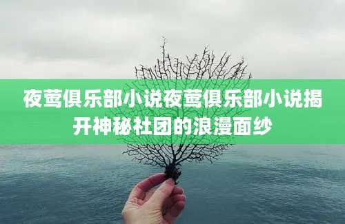 夜莺俱乐部小说夜莺俱乐部小说揭开神秘社团的浪漫面纱
