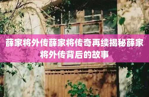 薛家将外传薛家将传奇再续揭秘薛家将外传背后的故事