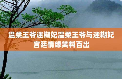 温柔王爷迷糊妃温柔王爷与迷糊妃宫廷情缘笑料百出