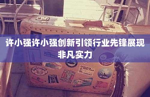 许小强许小强创新引领行业先锋展现非凡实力