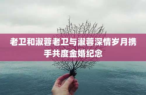 老卫和淑蓉老卫与淑蓉深情岁月携手共度金婚纪念