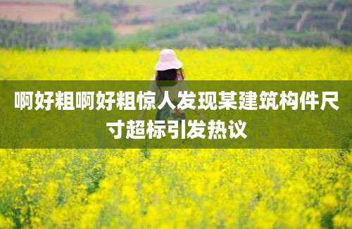 啊好粗啊好粗惊人发现某建筑构件尺寸超标引发热议