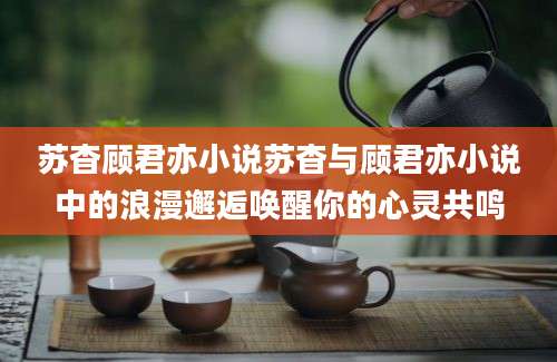 苏杳顾君亦小说苏杳与顾君亦小说中的浪漫邂逅唤醒你的心灵共鸣
