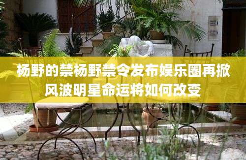 杨野的禁杨野禁令发布娱乐圈再掀风波明星命运将如何改变
