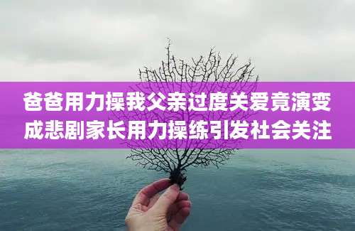 爸爸用力操我父亲过度关爱竟演变成悲剧家长用力操练引发社会关注